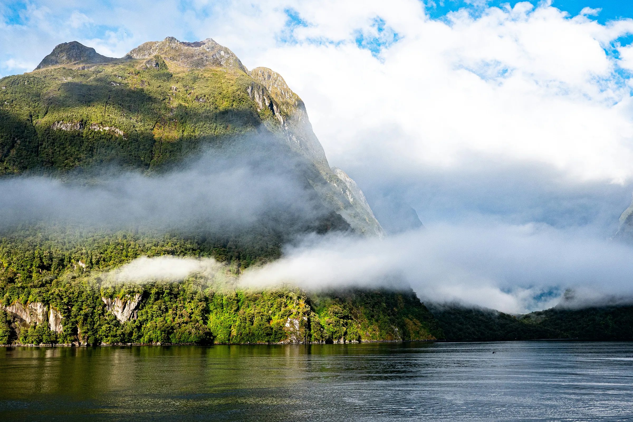 Sunny Lake boat tour